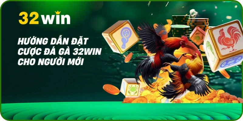 Hướng dẫn đặt cược đá gà 32Win cho người mới