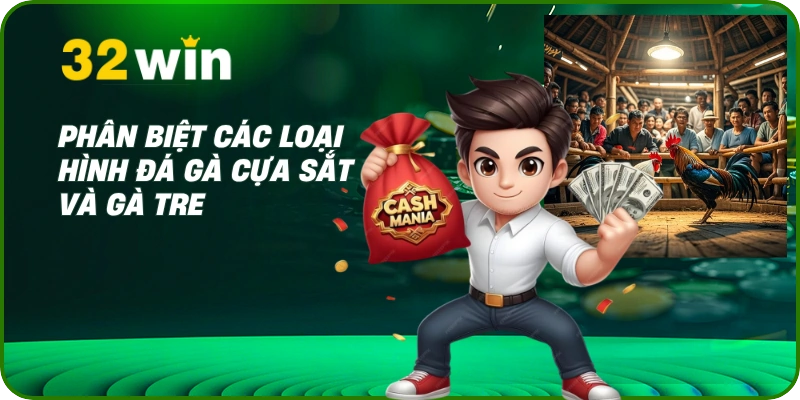 Xem Đá Gà Mạng Trực Tiếp 2025 Sắc Nét & An Toàn Tại 32Win 2 Phân biệt các loại hình đá gà cựa sắt và gà tre
